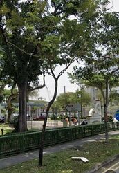 MARSILING DRIVE (Woodlands), Multi Generation #488949021
